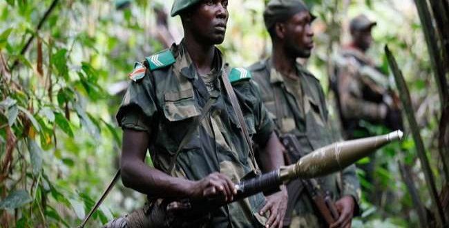 कांगो में विद्रोहियों ने कम से कम 44 ग्रामीणों की हत्या की