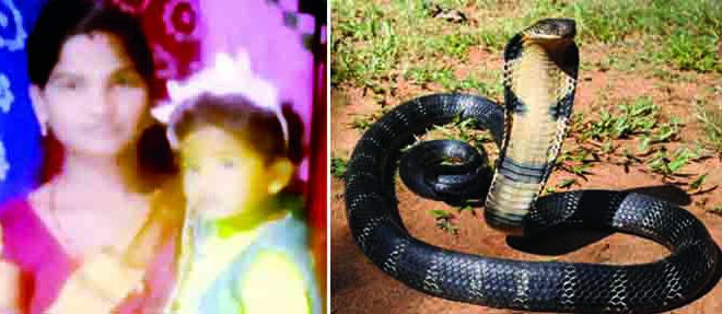 ओडिशा के गंजाम में पत्नी और बेटी की हत्या के लिए कोबरा का प्रयोग