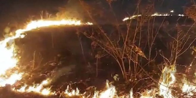 similipal सिमिलिपाल में भीषण गर्मी से जंगलों में आग लगी