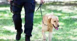 bumb बम से उड़ाने की धमकियां