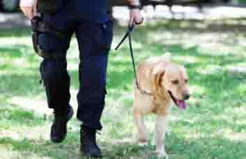 bumb बम से उड़ाने की धमकियां